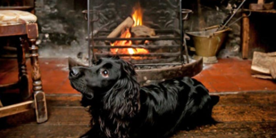 Screenshot 2024-04-12 at 10.33.06